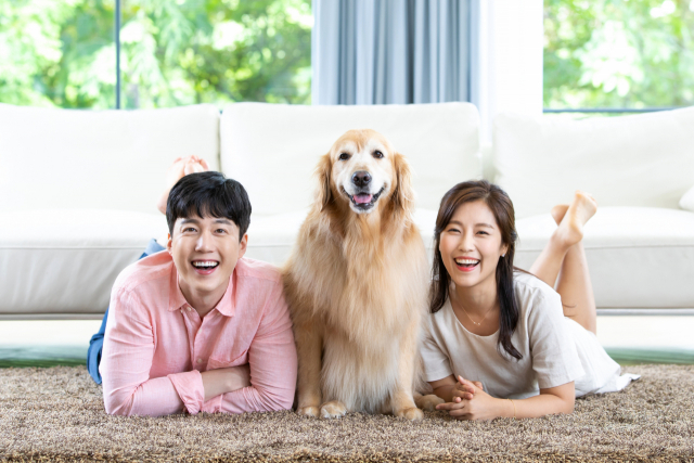 말티즈