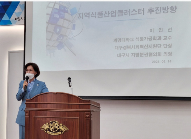 이인선 계명대 교수(전 대구경북경제자유구역청장)가 대구식품산업클러스터 추진 방향에 대해 발표하고 있다. 김윤기 기자