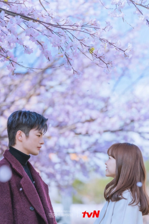 tvN 드라마