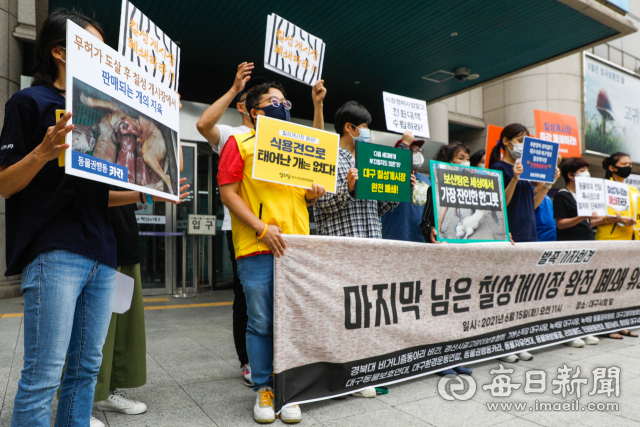 15일 대구시청 앞에 동물보호단체를 비롯한 15개 시민단체가 모여 