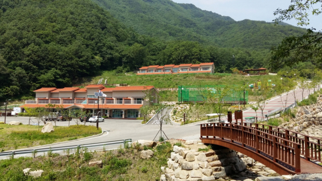 팔공산 금화자연휴양림 전경. 경북도 제공