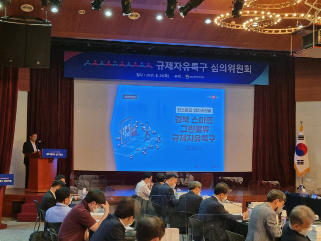 24일 열린 규제자유특구 심의위원회에서 경북도가 스마트 그린물류 규제자유특구안을 소개하고 있다. 경북도 제공