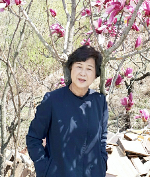 김춘기