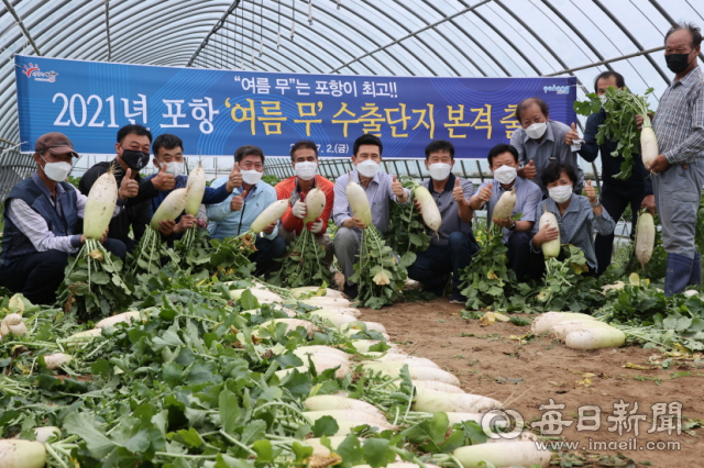 7월 2일 포항여름무 수출을 위한 출하행사가 포항시 남구 도구리 재배단지에서 열렸다. 농민들과 참석자들이 포항여름무를 들어보이며 축하하고 있다. 포항시 제공