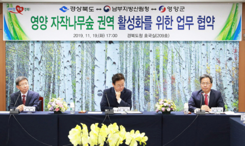 경북도와 영양군, 산림청은 영양 자작나무 숲 권역 활성화를 위해 업무협약을 체결했다. 3개 기관은 다양한 업무를 통해 자작나무 숲이 지속가능한 산림관광 자원으로 자리매김할 수 있도록 협력하기로 했다. 매일신문 D/B