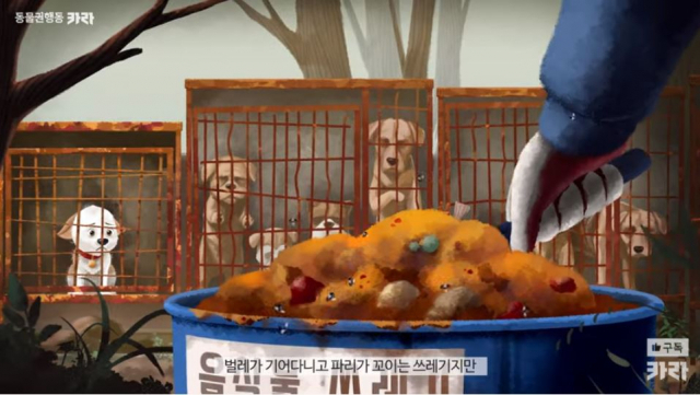 동물권행동 카라 식용견 종식 캠페인 영상