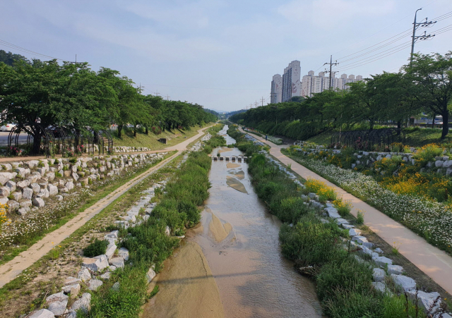 원당 소하천 전경. 영주시 제공