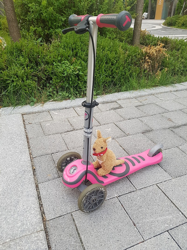 아동용 킥보드. 윤성희의 단편 