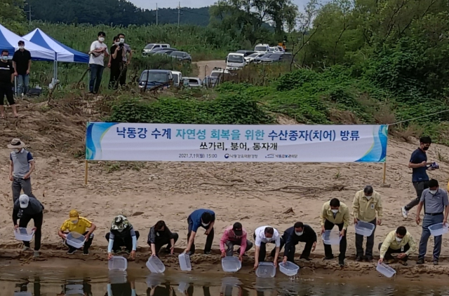 낙동강유역환경청과 k-water는 창녕 유어면 일대의 낙동강에 치어방류 행사를 가졌다. 낙동강유역청 제공