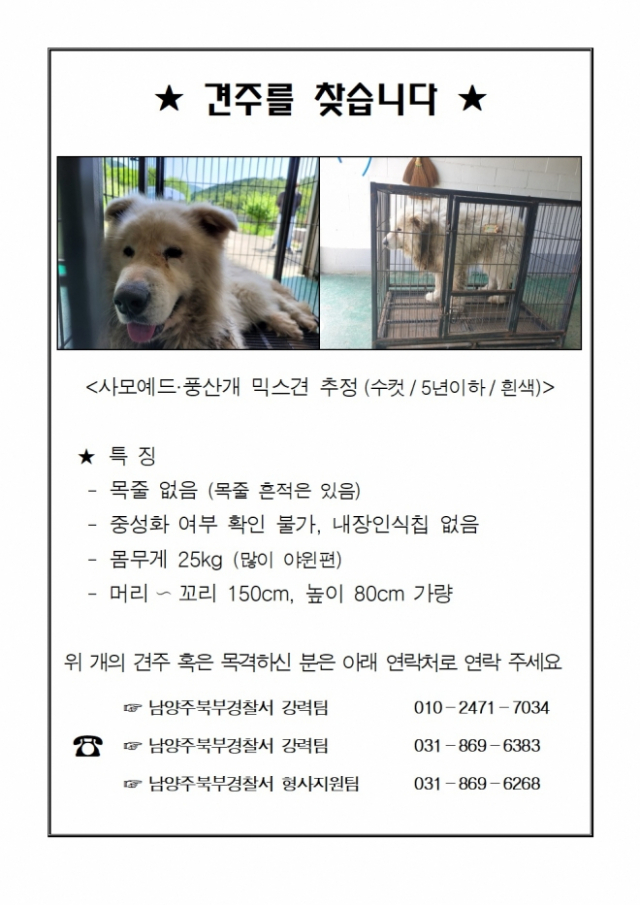 남양주 개물림 사고견의 견주를 찾는 전단지