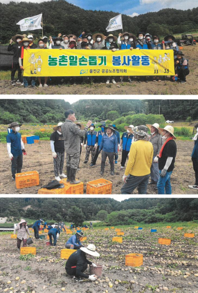 울진군공공노조 일손돕기