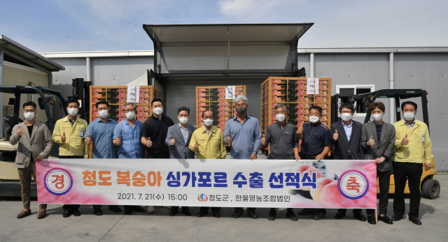 경북 청도군은 21일 청도 복숭아 싱가포르 수출 선적식을 가졌다. 청도군 제공