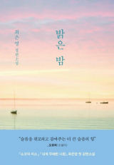 밝은 밤 / 최은영 지음 / 문학동네 펴냄