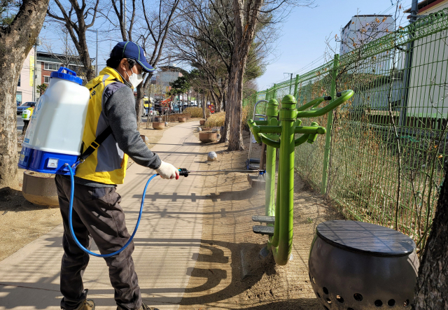 1차 희망근로사업에 참여한 한 시민이 방역활동을 펴고 있다. 영주시 제공