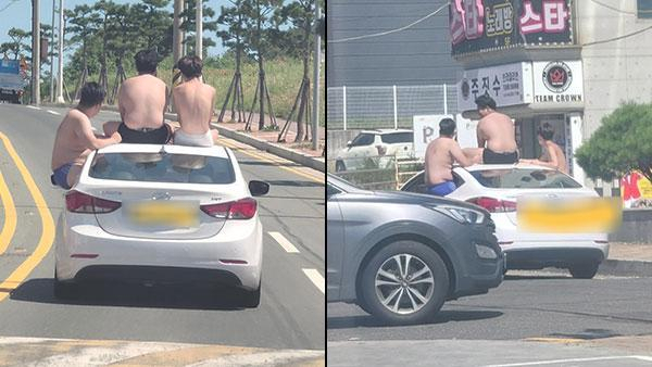 온라인 커뮤니티 보배드림 캡쳐.