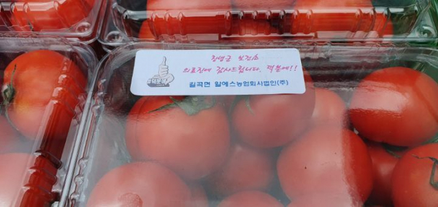 알에스농업회사법인(주)에서 생산한 수출용 토마토. 손흥태 기자