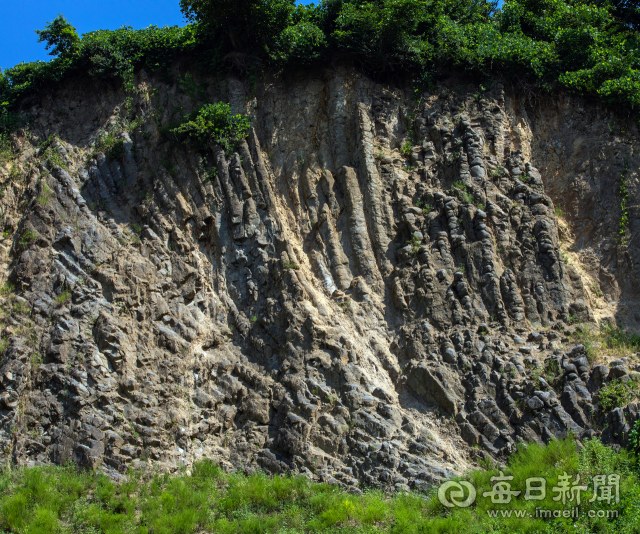 경북 포항시 남구 연일읍 달전리 산19-3번지에 자리한 달전리 주상절리. 병풍 형상의 수직 주상절리 옆에 있다. 김태형 선임기자 thk@imaeil.com