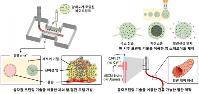 프린팅 기술을 이용한 암-혈관 모델 제작 개념도. 포스텍 제공
