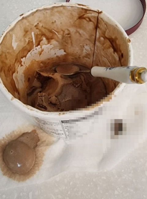 온라인 커뮤니티 캡처