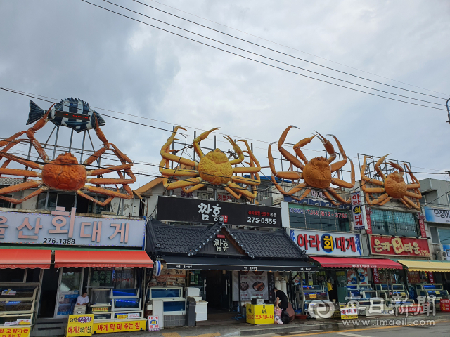 포항시 남구 구룡포읍의 대게 거리. 큼지막한 대게 간판들이 멀리서부터 마음을 설레게 한다. 신동우기자