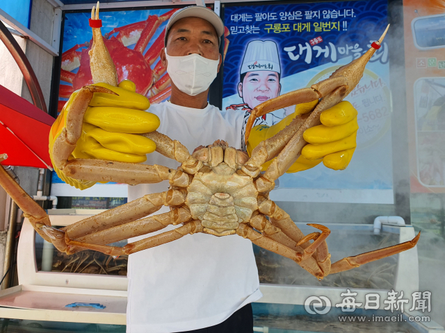 포항 구룡포 대게거리는 어디를 가도 맛집임을 보장한다. '대게마을' 김영철(53) 사장이 수족관의 대게를 들어 보이며 