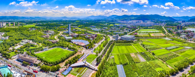 영남대학교 전경. 영남대 제공