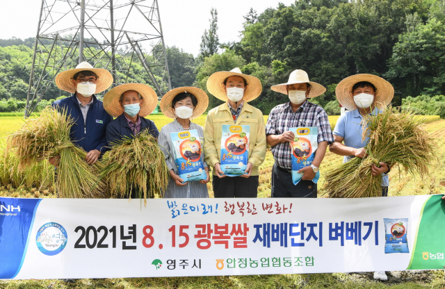 벼베기에 참석한 농민과 기관단체장들이 수확한 벼를 들고 기념 사진을 촬영했다. 영주시 제공
