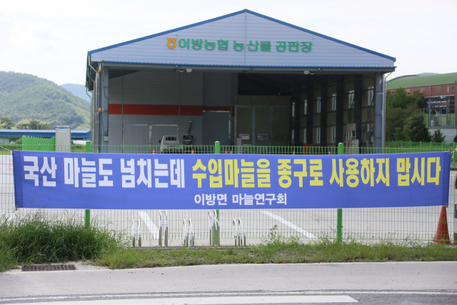 창녕군내 14개 읍면 마늘연구회에서 국산마늘 애용 현수막을 부착했다. 손흥태 기자