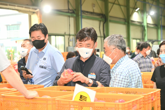청송군은 지난 2019년부터 농산물공판장을 자체 운영하고 있다. 전국 최고의 품질을 유지하고 있는 청송사과만을 공판해 전국으로 유통하고 있다. 매일신문 DB