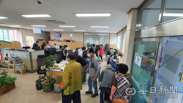 8월 31일 오전 10시쯤 경북 포항시 북구 죽장면사무소에 태풍 피해 신고를 위해 주민들이 몰렸다. 김대호 기자