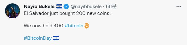 Nayib Bukele 엘살바도르 대통령 트위터