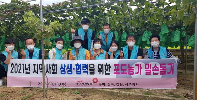 국민건강보험공단 구미(지사장 고미숙)·칠곡(지사장 강효희)·김천(지사장 이창훈)·상주(지사장 김홍식) 지사 직원들이 구미 선산읍의 한 포도재배농가에서 농촌일손돕기를 하고 있다. 국민건강보험공단 제공