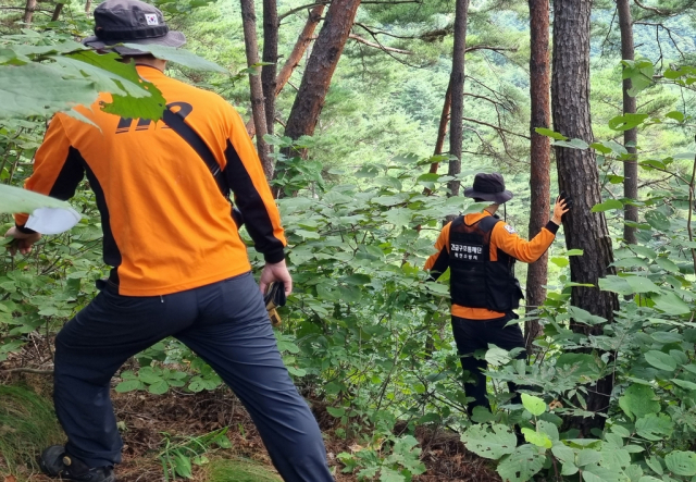 산악실종사고에 수색에 나선 소방관계자들. 충북소방본부 제공