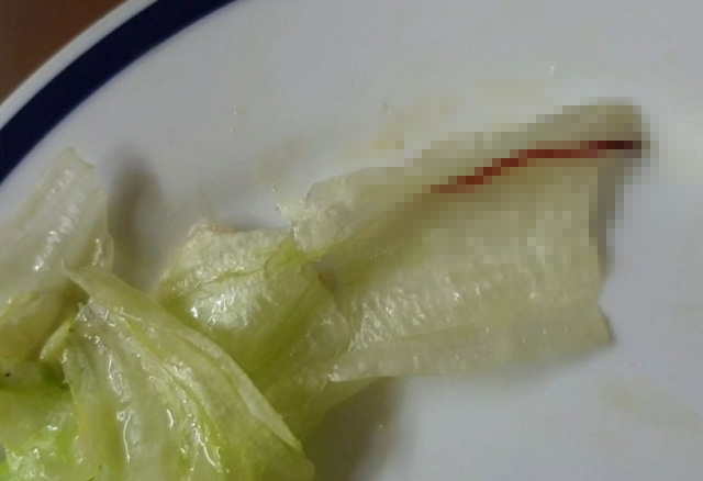 햄버거에서 발견된 벌레 모습. 연합뉴스