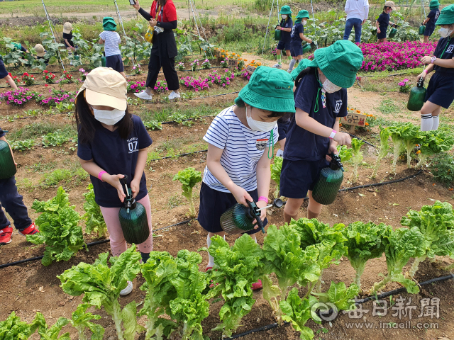고산도서관과 대구농업마이스터고가 진행하고 있는 
