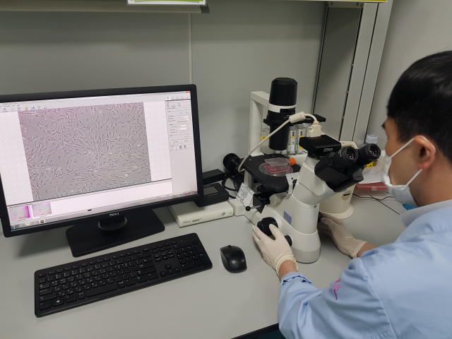 서민수 실험동물센터 팀장이 줄기세포 관련 연구를 진행하고 있다. 대구첨복재단 제공