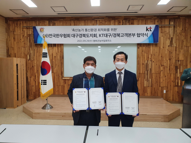 (사)전국한우협회 대구경북도지회와 KT대구경북고객본부는 축산 농가 경쟁력 향상을 위한 통신 시설 고도화와 통신 환경 최적화를 위한 업무협약을 29일 체결했다. KT대구경북광역본부 제공