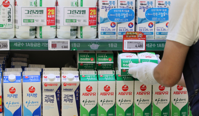 지난달 원유(原乳) 가격 인상으로 예견된 우유 가격 인상이 현실화했다. 서울우유협동조합은 다음 달 1일부터 우유 제품 가격을 평균 5.4% 인상한다고 23일 밝혔다. 우유업계 1위 서울우유가 가격을 인상함에 따라 남양유업과 매일유업 등 다른 우유업체도 조만간 가격을 올릴 것으로 보인다. 사진은 서울 시내 한 대형마트 우유 및 유제품 판매대 모습. 연합뉴스
