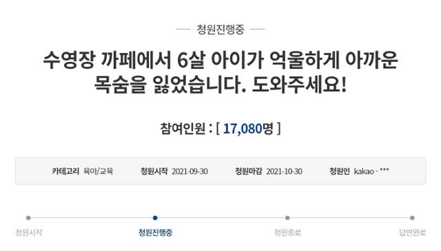 수영장 카페 익사 사고 관련 국민청원. 청와대 국민청원 갈무리