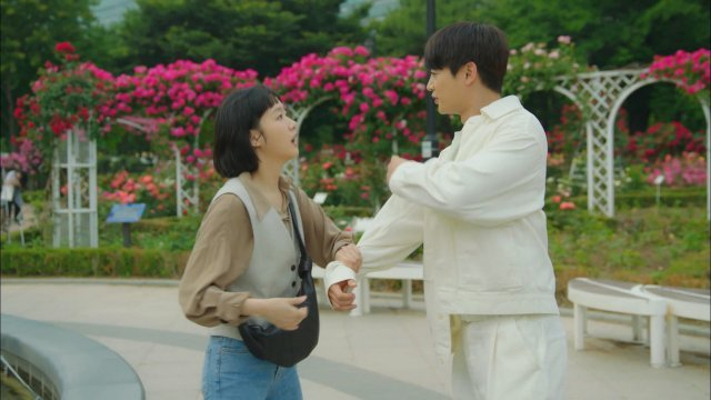 tvN 드라마