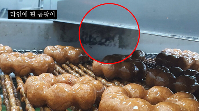 공익신고자가 지난 7월 28일 촬영한 던킨도너츠 안양공장 도넛 제조시설 위생상황. 공익신고자 제공