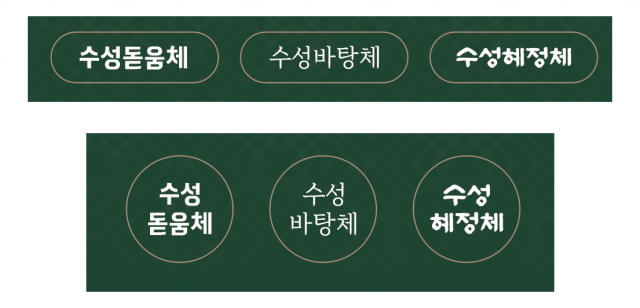 수성구청이 6일 전용서체 3종을 공개했다. 해당 서체는 한글날인 9일 배포된다. 수성구청 제공.
