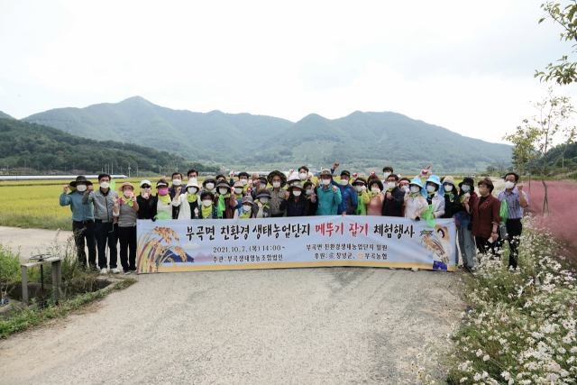 부곡친환경생태농업단지에서 메뚜기잡기 체험행사에 앞서 기념촬영을 했다. 창녕군 제공