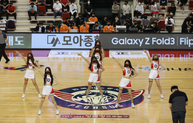 10년 만에 프로농구가 열린 10일 대구 북구 대구체육관에서 대구 한국가스공사 페가수스의 승리를 기원하는 응원전이 펼쳐지고 있다. 안성완 기자 asw0727@imaeil.com