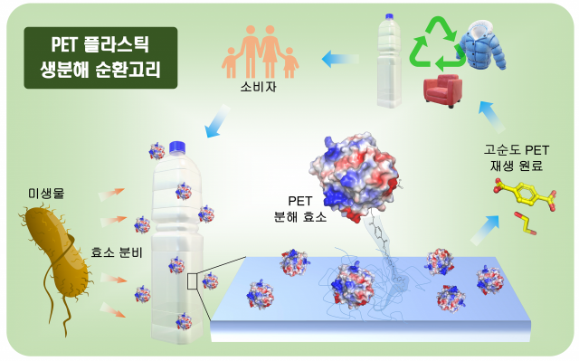 김경진 경북대 교수