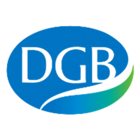 DGB금융지주 로고. 매일신문 DB