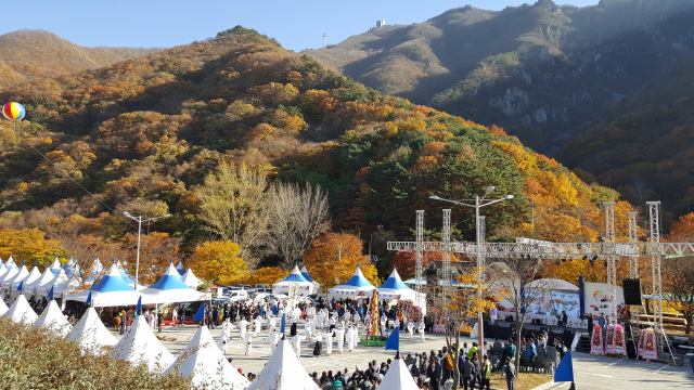 지난해 코로나로 건너뛴 밀양 얼음골 사과 축제가 올해는 11월 5~21일 열린다.