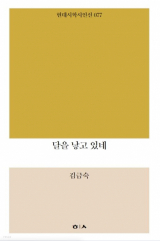 김금숙 지음 / 현대시학 펴냄