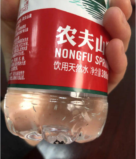 구더기로 추정되는 이물질이 떠다니는 중국 생수 모습. 사진 웨이보 캡처