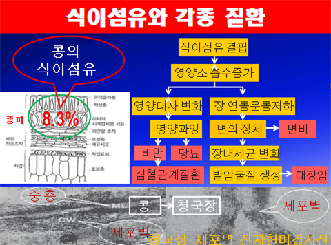 식이섬유와 각종질환